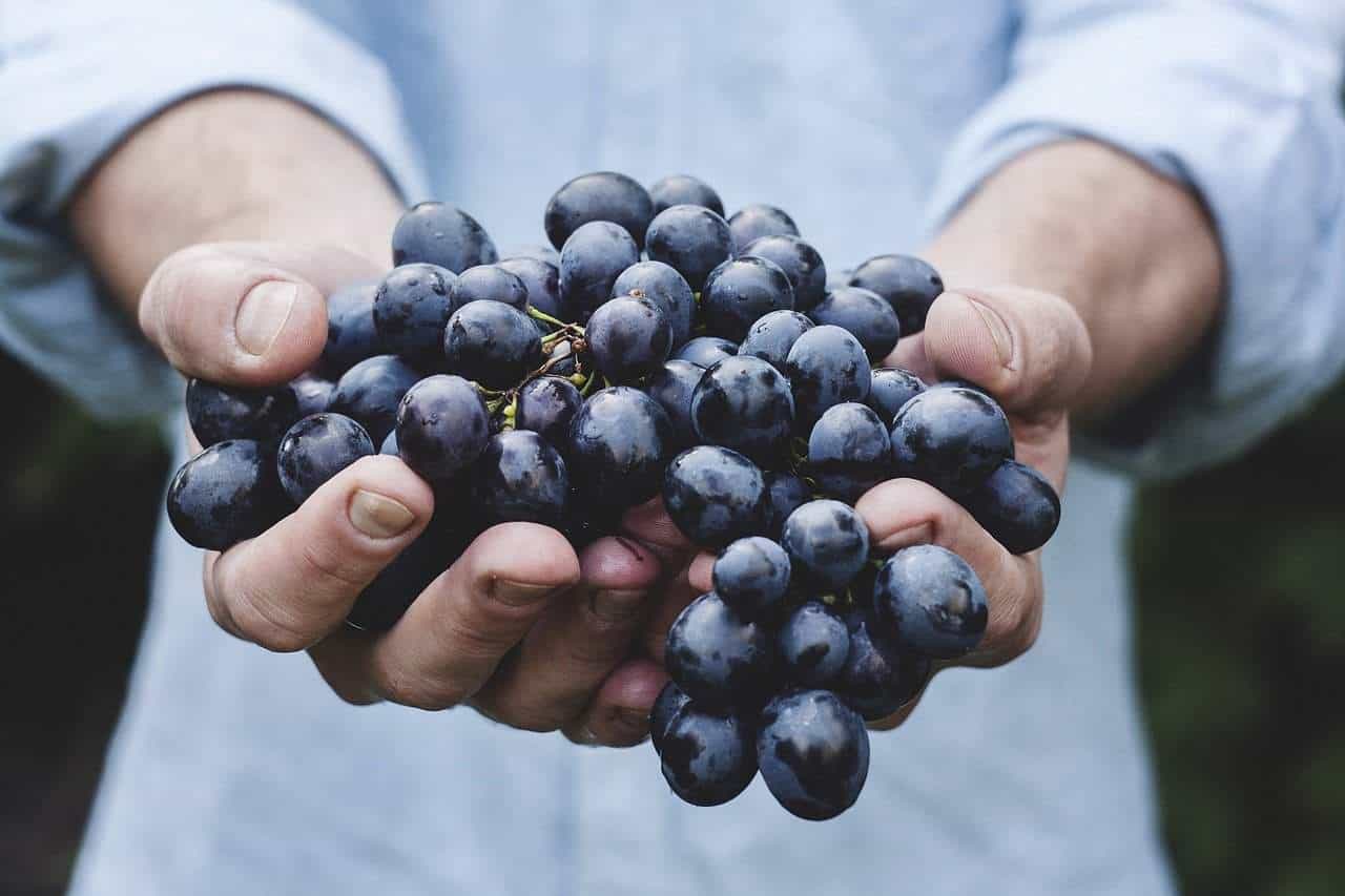 Rich fruitful lives