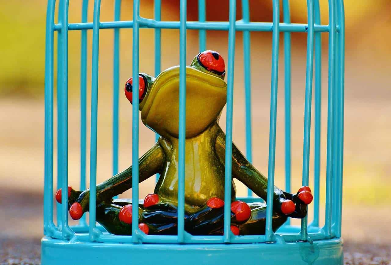 Rattling Cages And 3 Keys To Escape Your Limitations