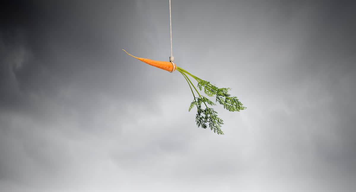 carrot on a stick