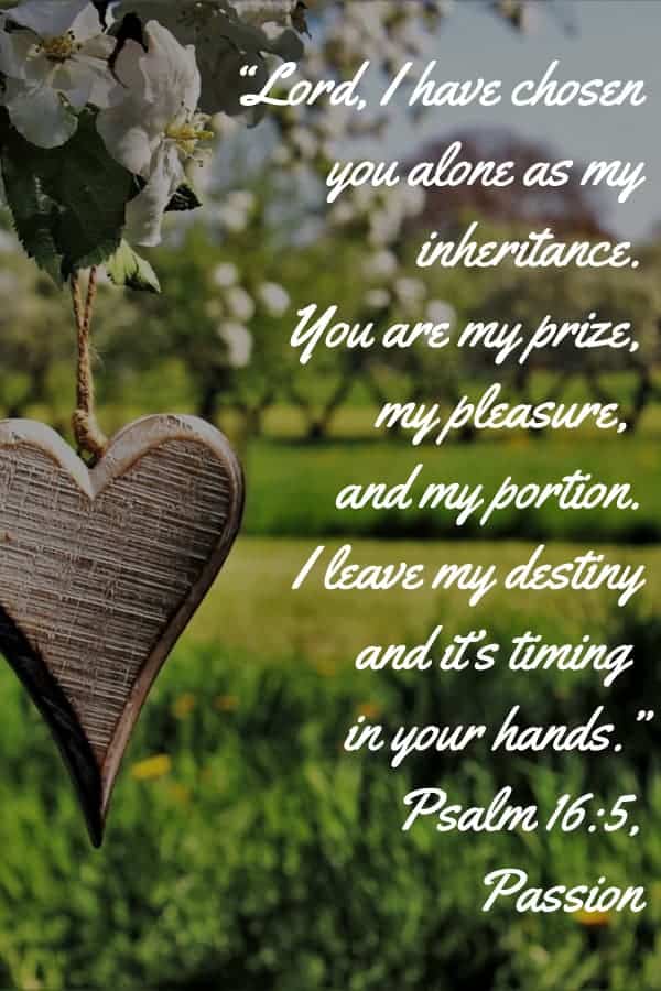 “Lord, I have chosen you alone as my inheritance.
You are my prize, my pleasure, and my portion.
I leave my destiny and it’s timing in your hands.”
Psalm 16:5, Passion