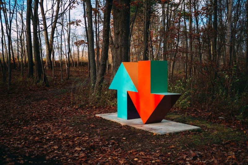 red and blue arrow sign surrounded by brown trees