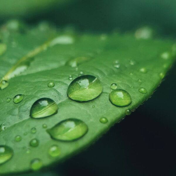 Prayer Is A Precious Jewel That No One Can Steal cover