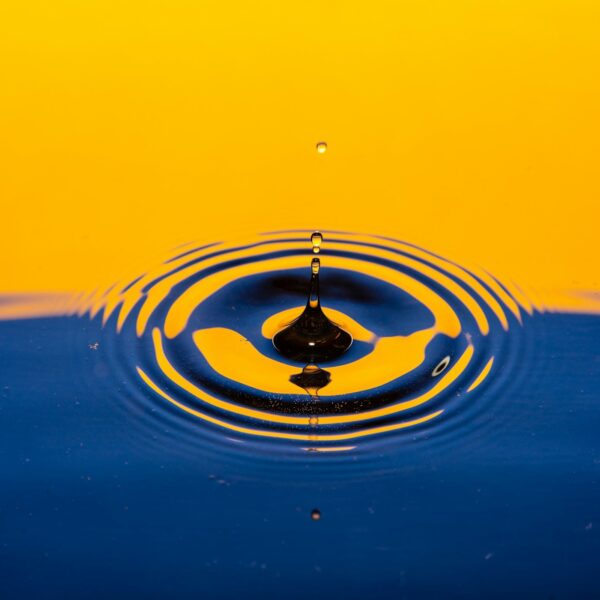 Drip and Drop cover