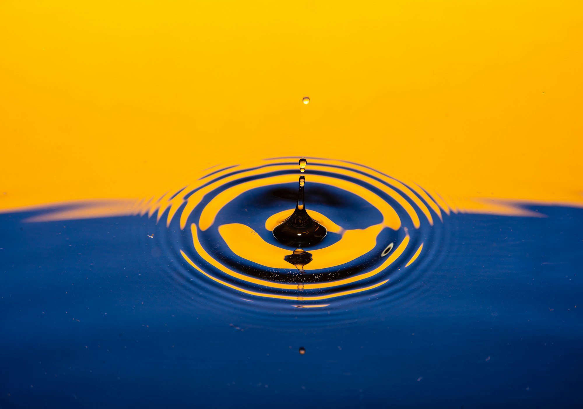 Drip and Drop cover