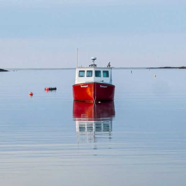 The Quiet Life cover