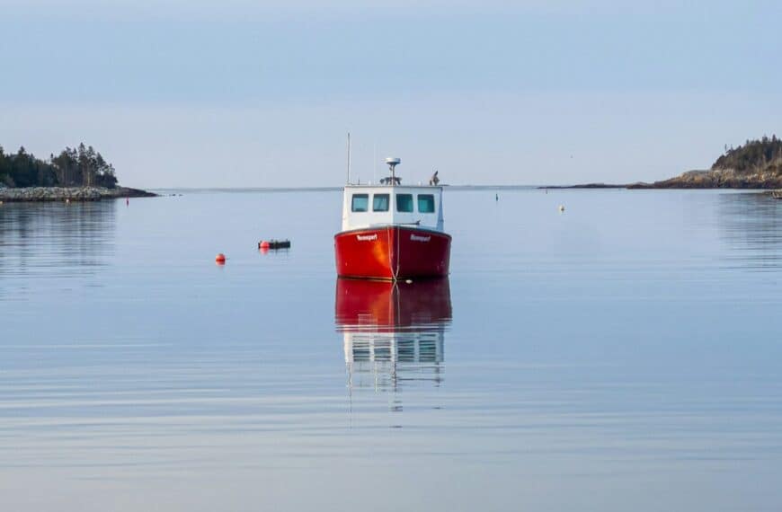 The Quiet Life cover